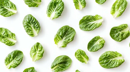 Pattern with romaine leaves arranged on white