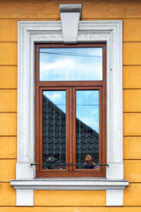 Soft toys looking from window  on the building