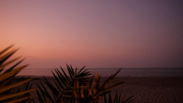 A serene sunset over a calm ocean, enhanced by lush palm fronds, creates an inviting vibe