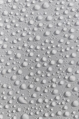 Transparent bubbles of morning water on a white background