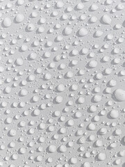 Transparent bubbles of morning water on a white background