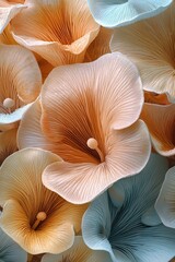 Close-up Pastel-Colored Mushrooms: A Delicate Macro Photography