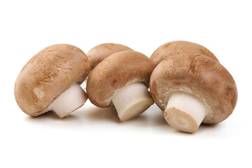 Fresh Brown Mushrooms, Isolated on White Background.