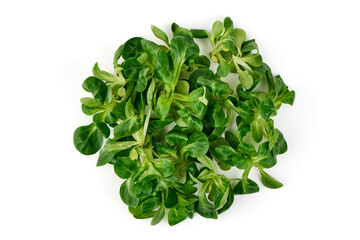 Fresh Corn Salad (Lamb's Lettuce), Isolated on White Background.