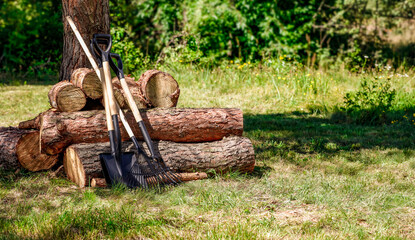 Chopped logs of wood and tree trunk and shovel in a garden on warm sunny day.