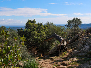 Site Mégalithique - Porto-Vecchio - Corse