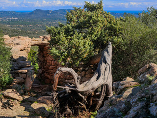 Site Mégalithique - Porto-Vecchio - Corse