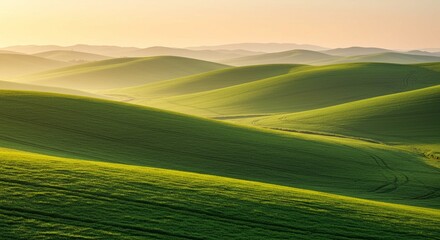 Fototapeta premium Serene Rolling Green Hills Landscape at Sunrise Lush Spring Meadow Nature Scenery