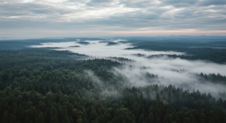 Fototapeta premium Aerial View of Fog Flowing Through Green Forest Landscape