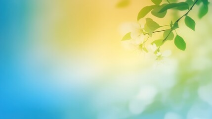 Fototapeta premium Creamy blue green fresh Spring background.