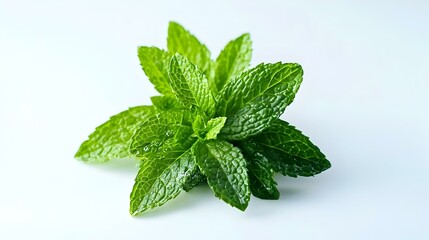 Fresh pineapple mint in front of a white