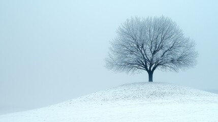 Fototapeta premium a lone tree standing atop a snow-covered hill, with a clear blue sky in the background