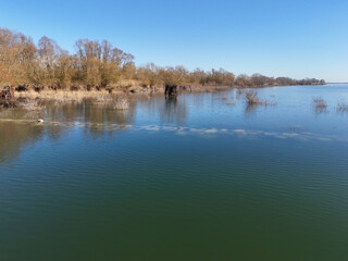 Lac d'orient and its vegetation in winter, reservoir lake of the Seine in the Aube department in France, in the nature reserve of the forêt d'orient in Champagne.
