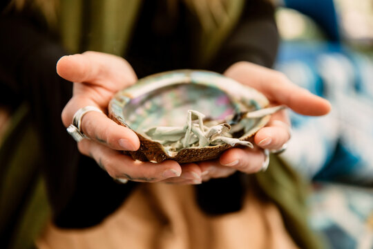 Hands holding a shell and herbs and medicine