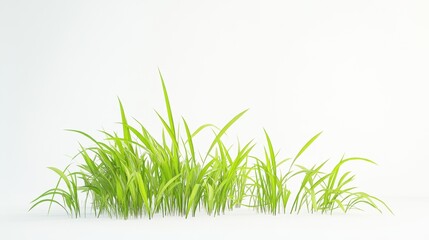 Green fresh grass lawn in Spring.