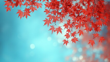  a tree with red maple leaves against a blue sky, creating a beautiful autumnal scene The leaves are vibrant and full of life, making it a perfect wallpaper for any