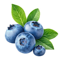 Obraz premium blueberries isolated on transparent background