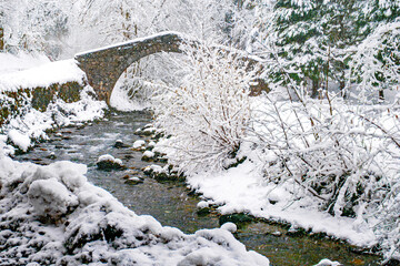 Rivière de Haute Savoie, in forest with trees crumbling under the snow