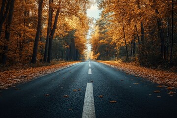 Enchanting Autumn Road Surrounded by Vibrant Trees Inviting a Serene Journey Through Nature's Golden Beauty