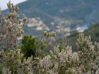 Corse - Villanova - Randonnée
