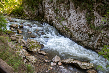 River flows through rocky canyon surrounded by lush greenery during bright sunny day