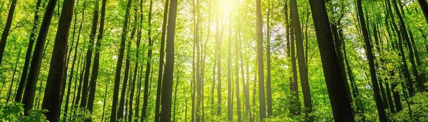 Doctors and Nurses Collaborate on Medical Teamwork for Patient Care Improvement