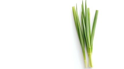 Obraz premium Fresh Green Onions Isolated on White Background