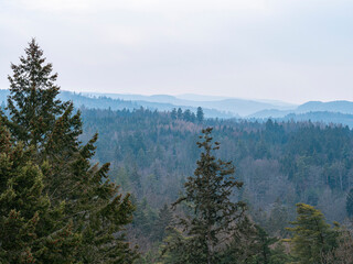 misty mountain landscape with layers of forested hills fading into the distance, featuring...