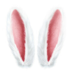 PNG White rabbit ears animal bunny pink. 
