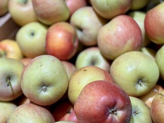 A mound of large red green yellow coloured apples in boxes is displayed in the window of the supermarket's vegetable stand, demonstrating organic, vegetarian and healthy food. Close-up