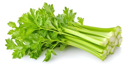 Fresh Celery isolated on white background