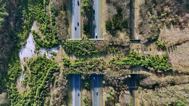 Ecoduct Hulshorst on the highway A28 on the Veluwe in the Netherlands Europe