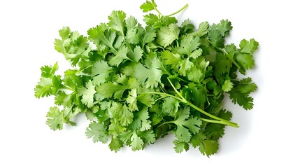 Fototapeta premium Fresh cilantro isolated on white background