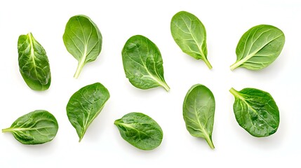 Fototapeta premium Fresh Spinach Leaves Isolated on White Background
