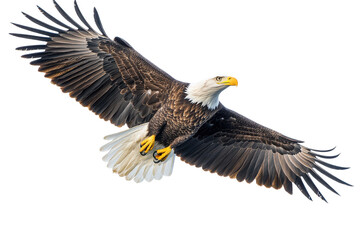  a majestic bald eagle in flight with its wings fully spread, symbolizing freedom and strength in the wild