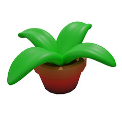 Cute little green plant in a pot