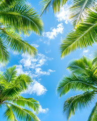 Obraz premium Tropical Palm Trees against a vibrant blue sky
