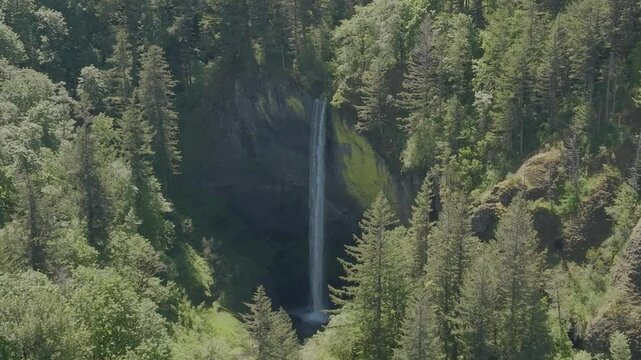 Latourell Falls in the Scenic Columbia River Gorge along the Oregon and Washington Border. 