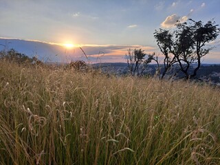 Um pôr-do-sol sobre o campo, em São Roque, estado de São Paulo, Brasil.