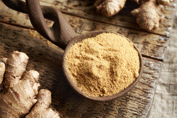 Dried ginger powder with fresh ginger root
