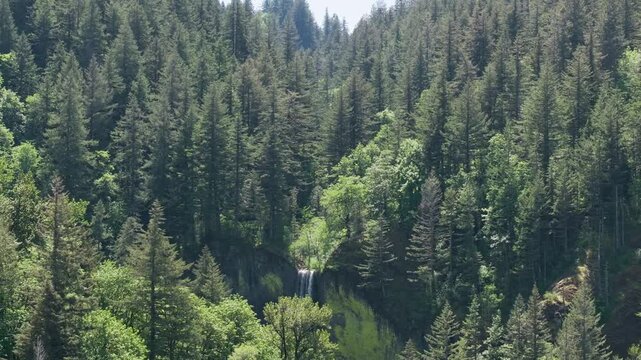 Latourell Falls in the Scenic Columbia River Gorge along the Oregon and Washington Border. 