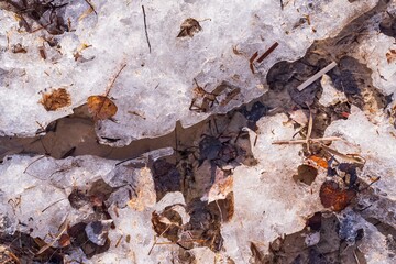 Melted spring ice on the river with dry vegetation. First thawed patches. Ice in spring. Texture of spring ice and cracks.