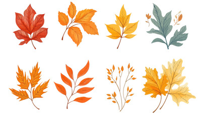 Naklejka premium Autumn Leaf Vector Collection: Minimalist Fall Foliage Design Elements