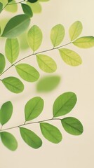 Obraz premium A close up of green leaves with white veins. The leaves are scattered throughout the image, creating a sense of movement and life