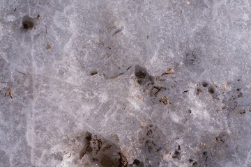 Melted spring ice on the river with dry vegetation. First thawed patches. Ice in spring. Texture of spring ice and cracks.