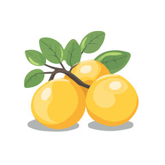 Marula Fruit Icon | Simple & Modern Flat Design.
