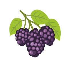 Mulberry Icon | Bold & Simplistic Vector Illustration.

