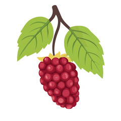 Mulberry Icon | Bold & Simplistic Vector Illustration.

