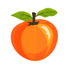 Persimmon Icon | Minimalist & Eye-Catching Symbol.

