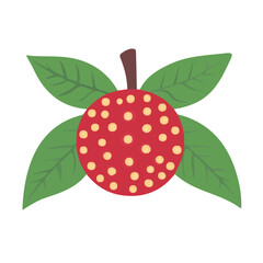 Quandong Icon | Sleek & Contemporary Flat Design.
